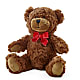 Adorable Plush Bear – Your Beautiful Flowers, Scranton PA
