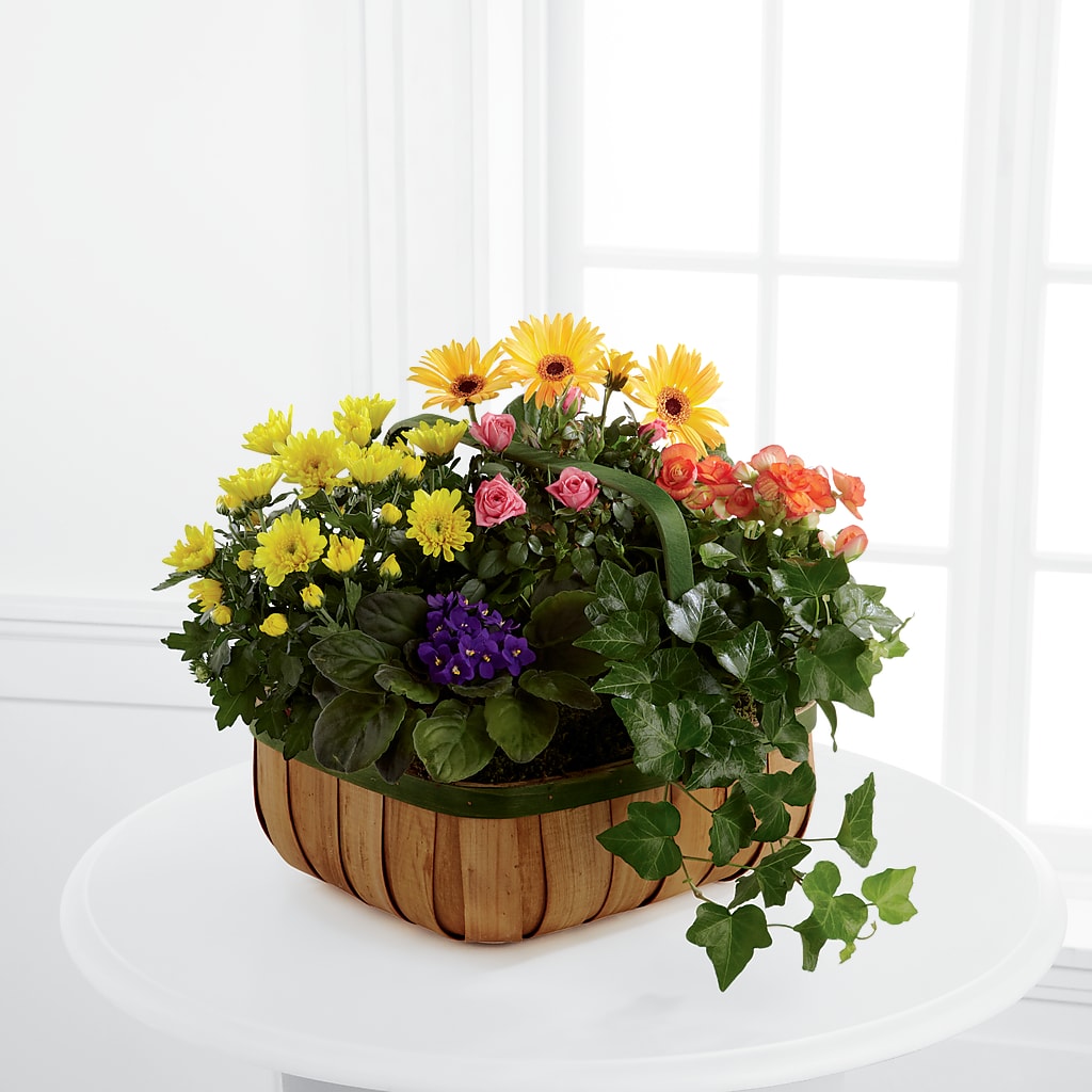 Gentle Blossoms Basket – Your Beautiful Flowers, Scranton PA