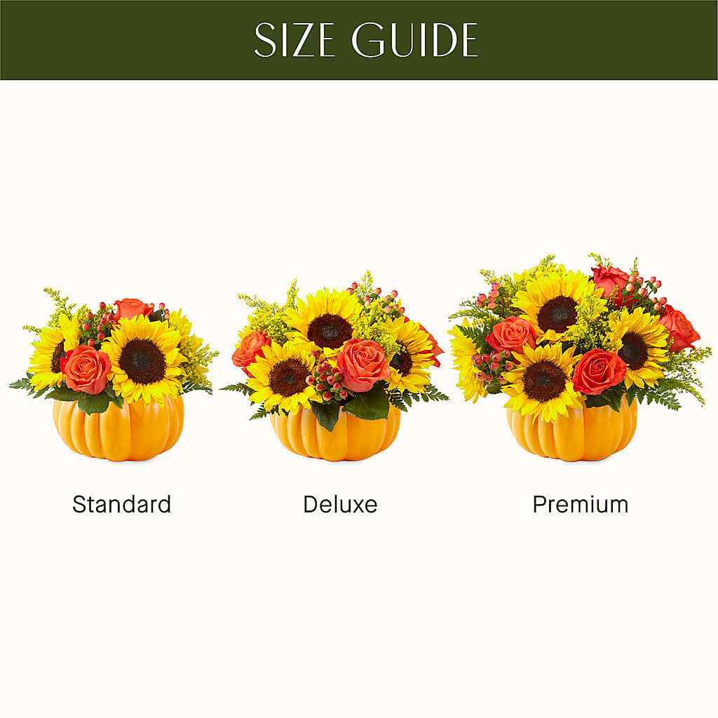 Pick of the Patch Pumpkin Bouquet – Your Beautiful Flowers, Scranton PA
