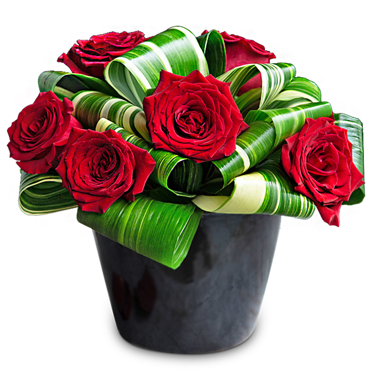 Daydreaming – Your Beautiful Flowers, Scranton PA