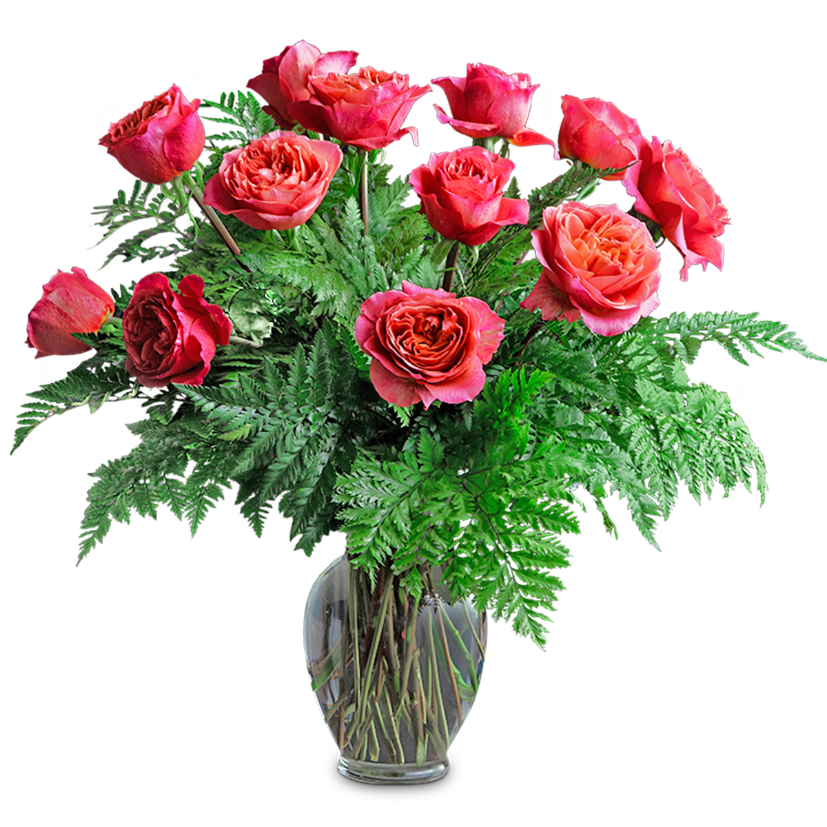 Gussied Up – Your Beautiful Flowers, Scranton PA