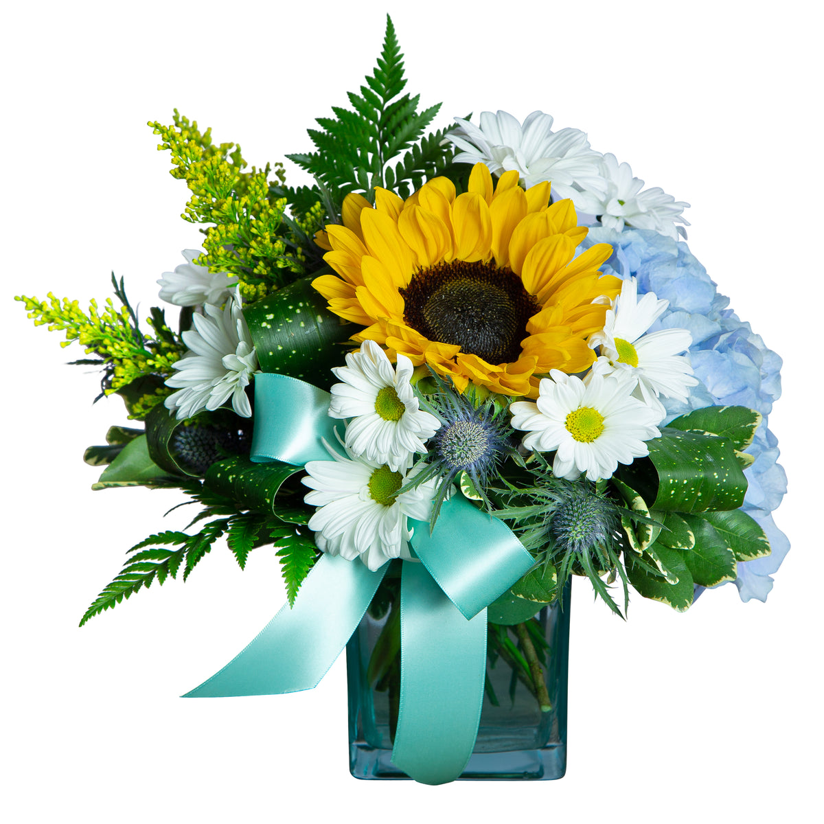 Daisy Baby – Your Beautiful Flowers, Scranton PA