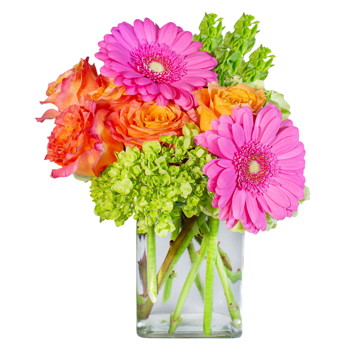 Rainbow Sherbet – Your Beautiful Flowers, Scranton PA