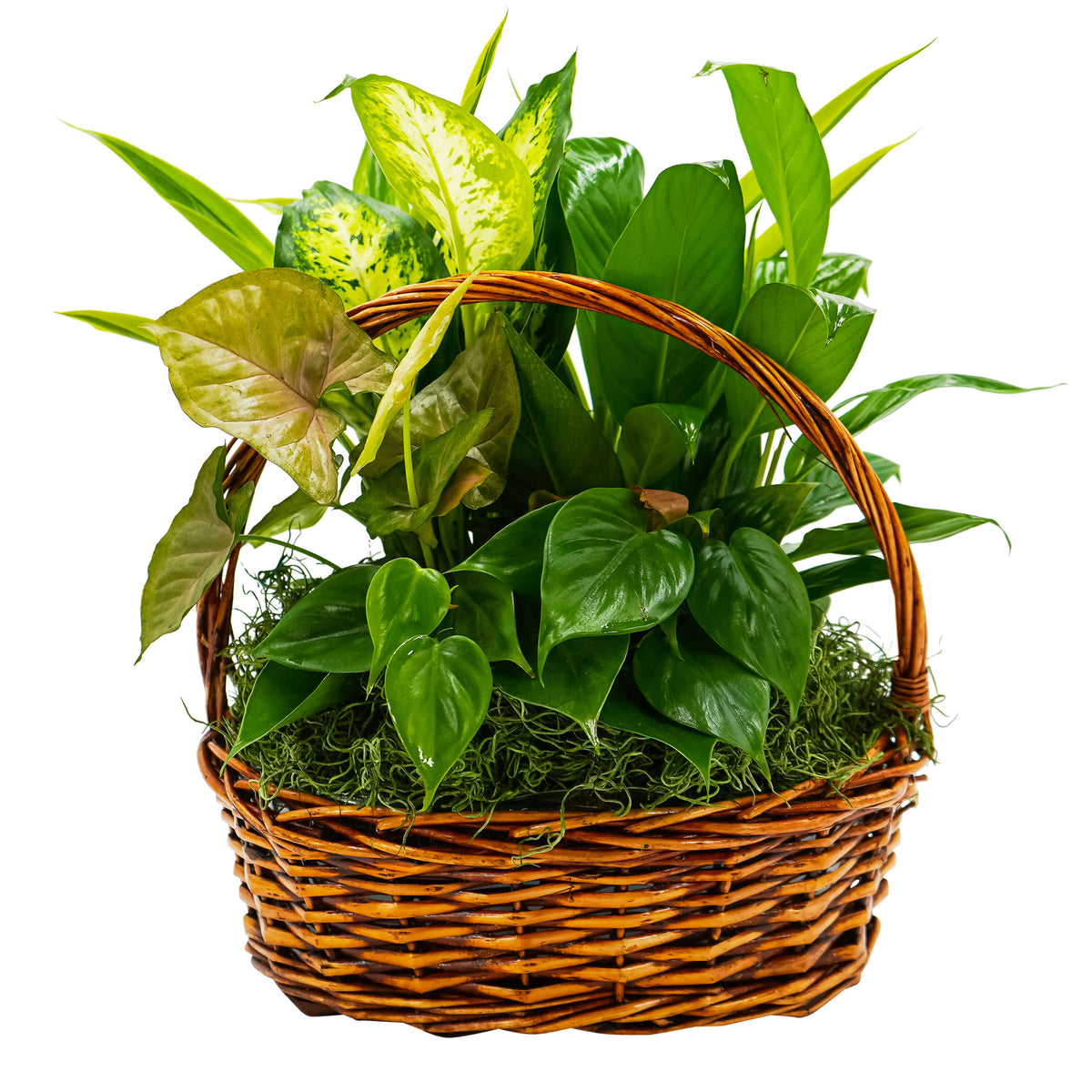 Around We Go Mixed Basket – Your Beautiful Flowers, Scranton PA