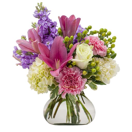 Villa – Your Beautiful Flowers, Scranton PA