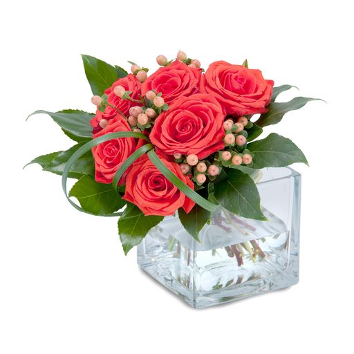 Modern Six – Your Beautiful Flowers, Scranton PA
