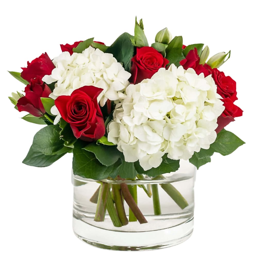 True North Blooms – Your Beautiful Flowers, Scranton PA