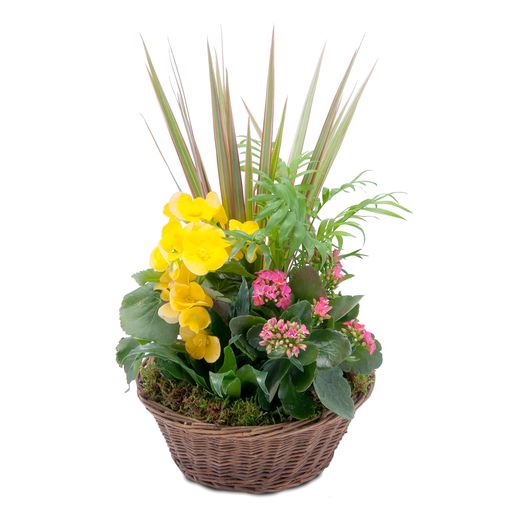 Bloomin' Sunshine Basket – Your Beautiful Flowers, Scranton PA