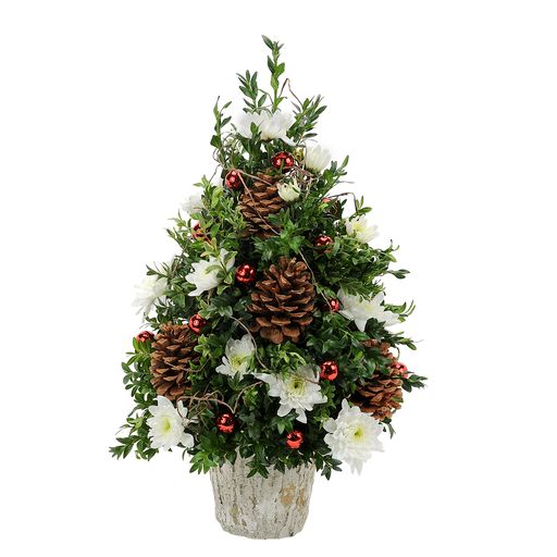 Traditional Boxwood – Your Beautiful Flowers, Scranton PA