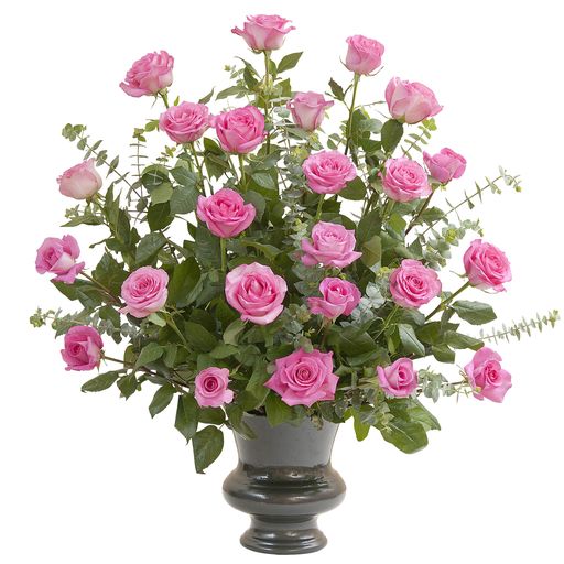 Pink Rose Supreme – Your Beautiful Flowers, Scranton PA
