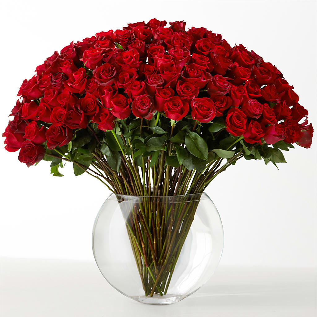 The Idealist – Your Beautiful Flowers, Scranton PA