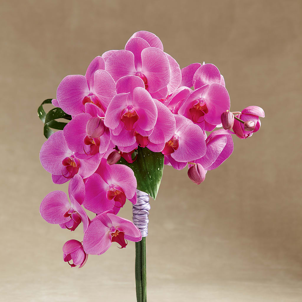 Glorious Bouquet – Your Beautiful Flowers, Scranton PA