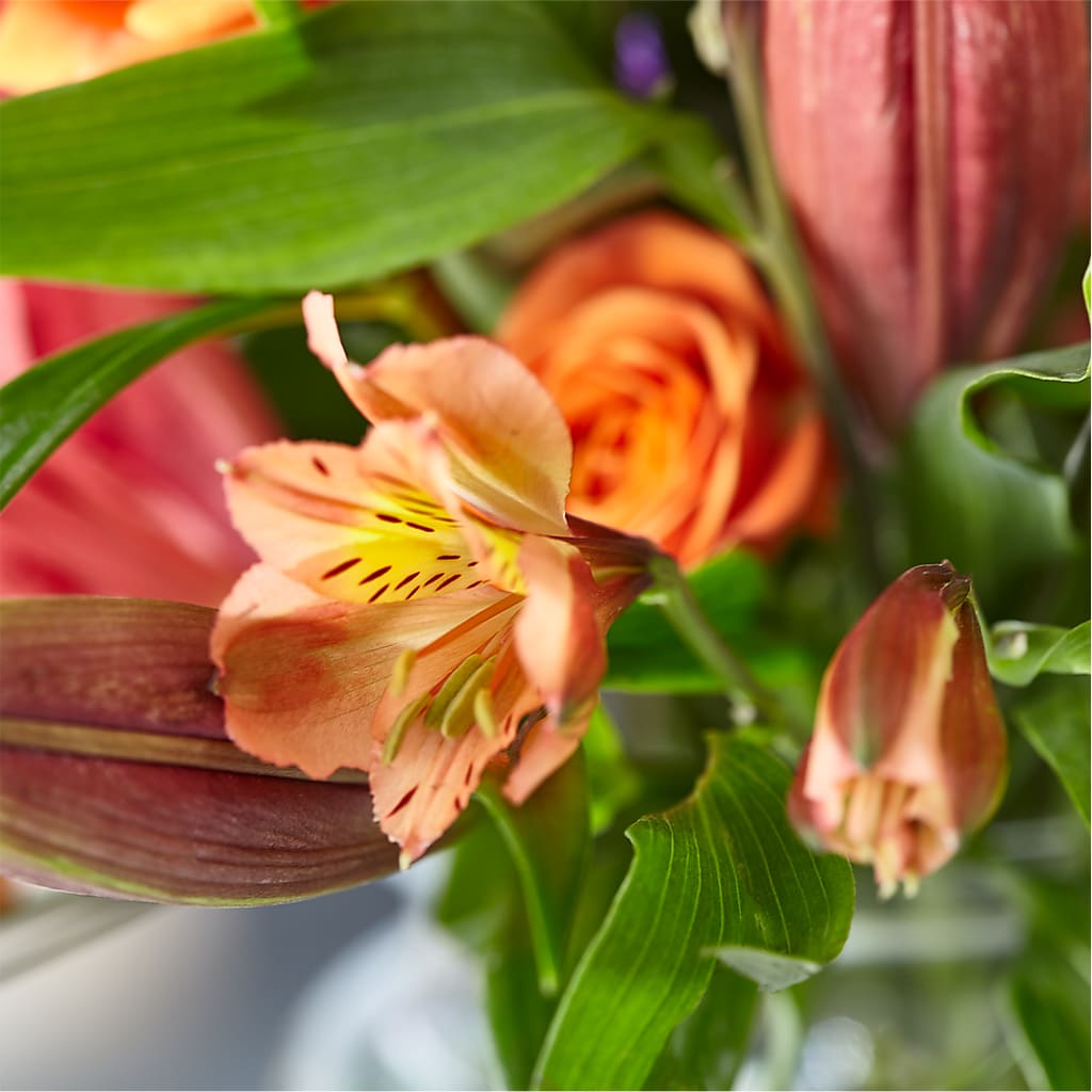Bold & Bright – A Florist Original –  Your Beautiful Flowers, Scranton PA