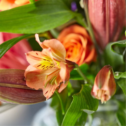 Bold & Bright – A Florist Original –  Your Beautiful Flowers, Scranton PA