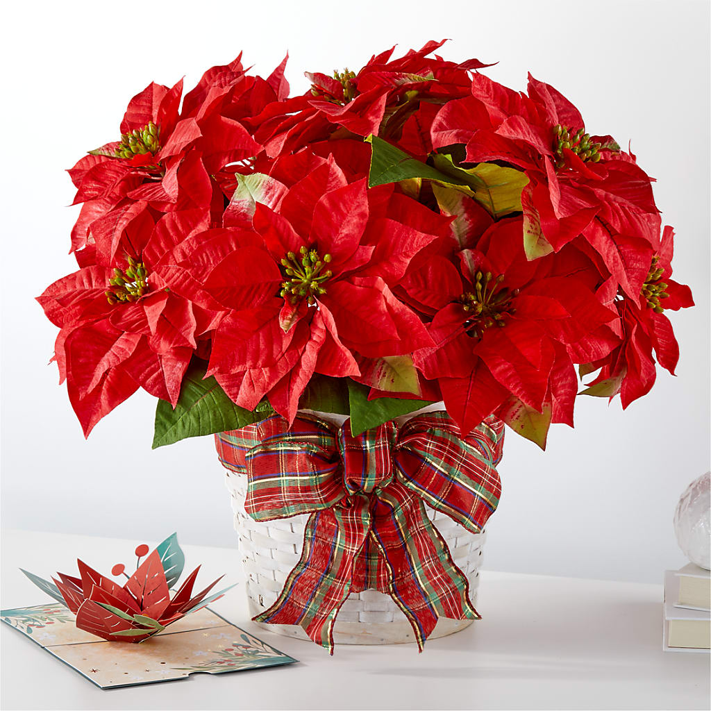 Happiest Holidays Poinsettia and Lovepop Card –  Your Beautiful Flowers, Scranton PA
