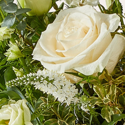 Cashmere Bouquet –  Your Beautiful Flowers, Scranton PA