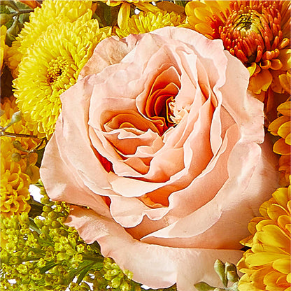 Peachy Pumpkin –  Your Beautiful Flowers, Scranton PA