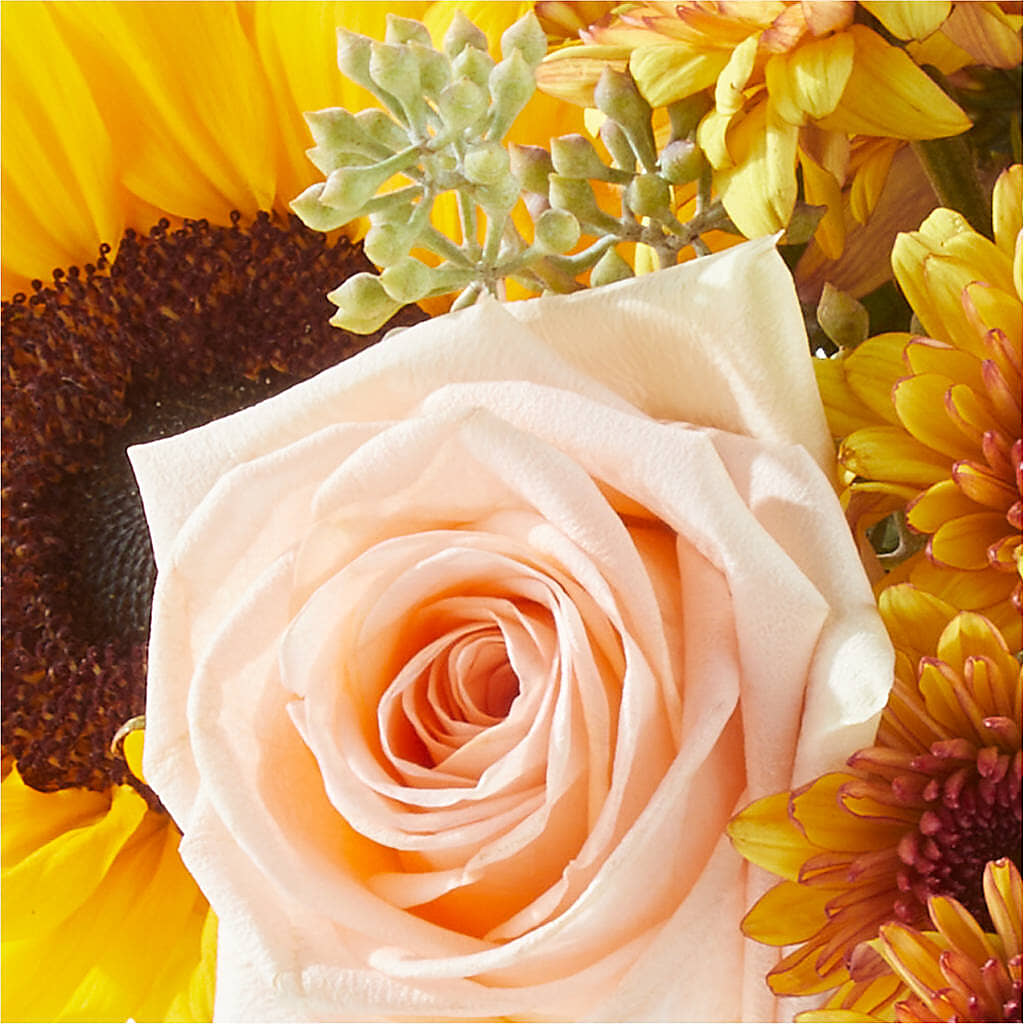 Pumpkin to Talk About Bouquet –  Your Beautiful Flowers, Scranton PA
