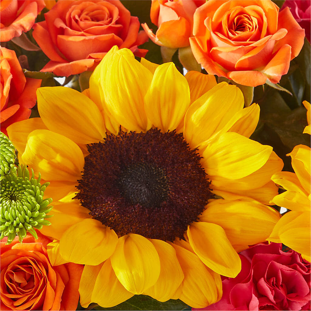 Sun-drenched Blooms Box Bouquet –  Your Beautiful Flowers, Scranton PA
