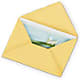 Handwritten Card –  Your Beautiful Flowers, Scranton PA