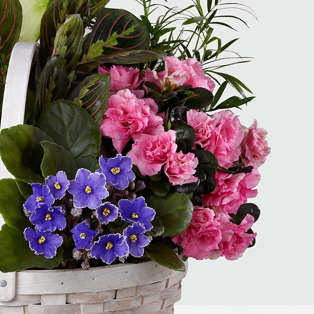 Peaceful Garden Planter –  Your Beautiful Flowers, Scranton PA