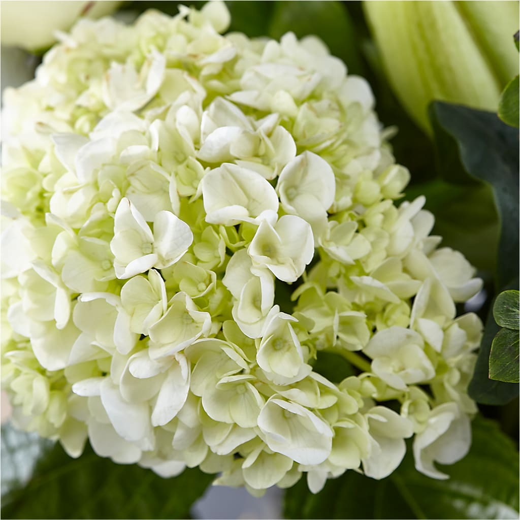Classic Ivory – A Florist Original –  Your Beautiful Flowers, Scranton PA