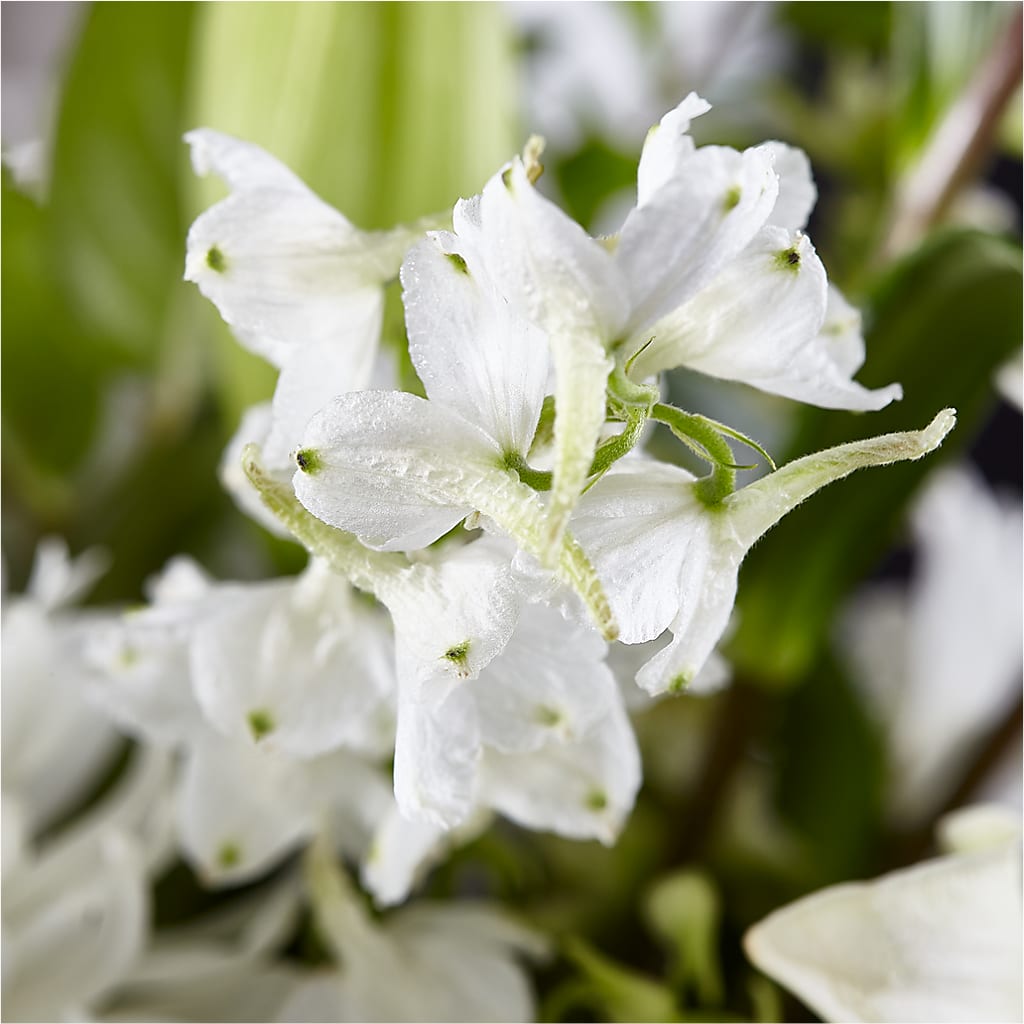 Classic Ivory – A Florist Original –  Your Beautiful Flowers, Scranton PA