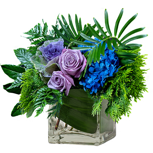 Moody Blues –  Your Beautiful Flowers, Scranton PA