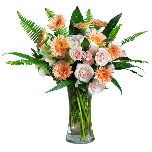 Gerbera Baby Girl –  Your Beautiful Flowers, Scranton PA