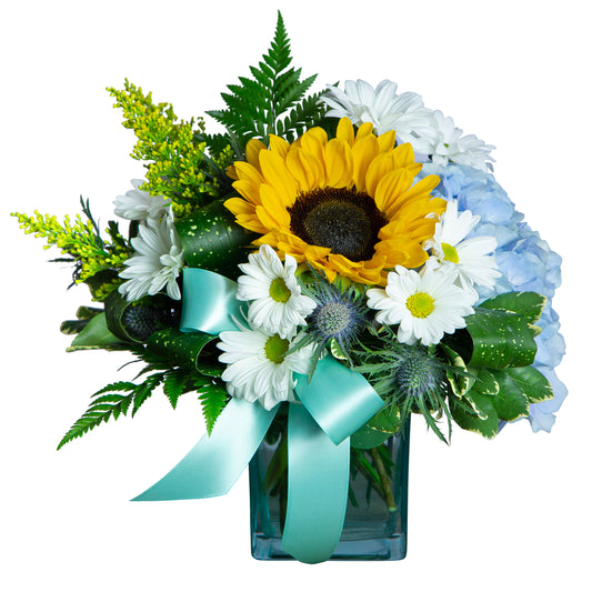 Daisy Baby –  Your Beautiful Flowers, Scranton PA