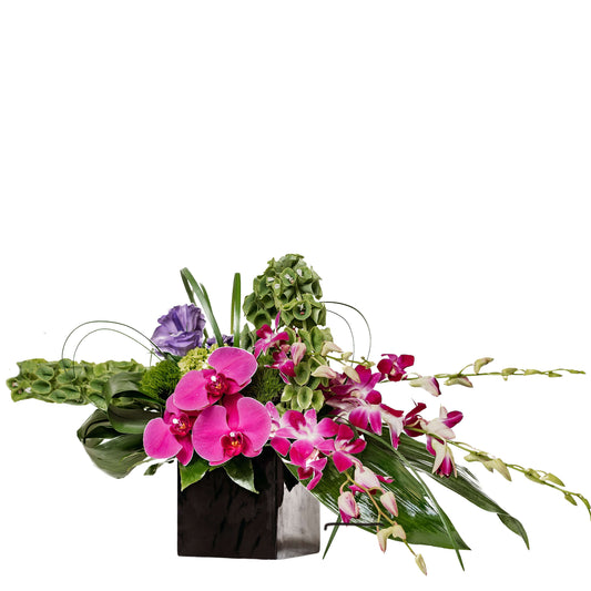 Irish Beauty –  Your Beautiful Flowers, Scranton PA