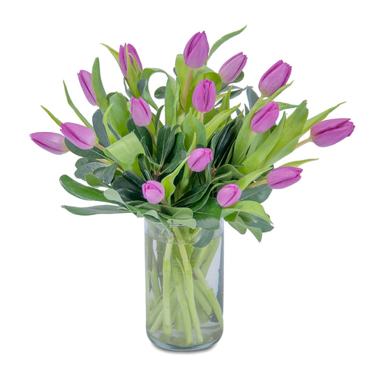 Field of Tulips –  Your Beautiful Flowers, Scranton PA