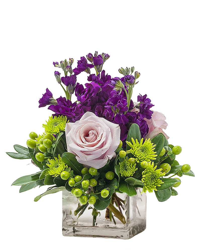My Anna Marie –  Your Beautiful Flowers, Scranton PA