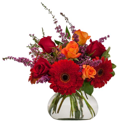 Salsa –  Your Beautiful Flowers, Scranton PA