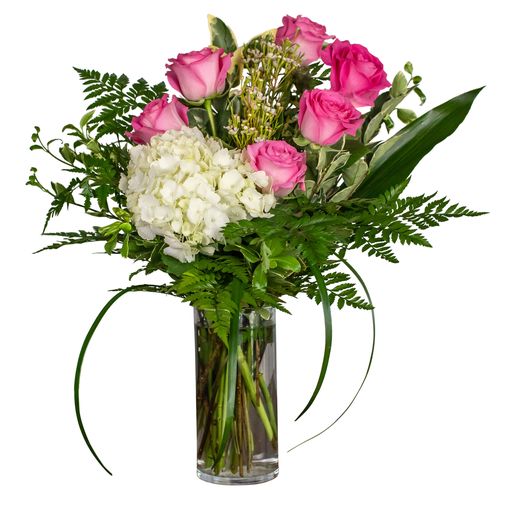 Walk in the Clouds –  Your Beautiful Flowers, Scranton PA