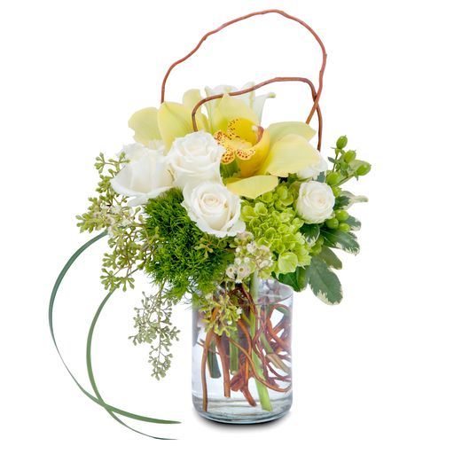 New Promise –  Your Beautiful Flowers, Scranton PA