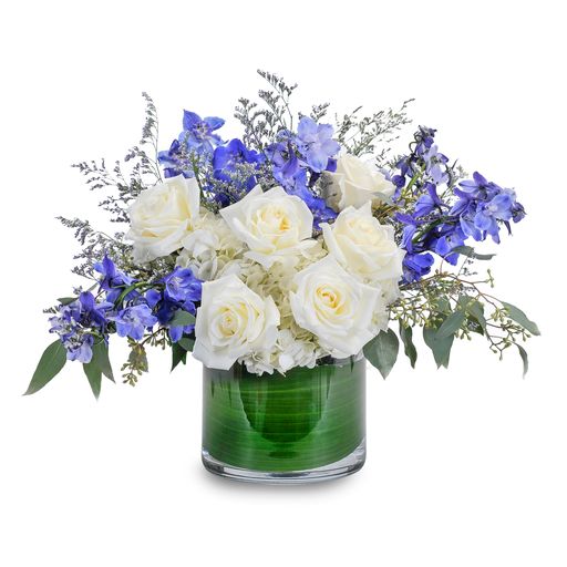 Blue Frost –  Your Beautiful Flowers, Scranton PA