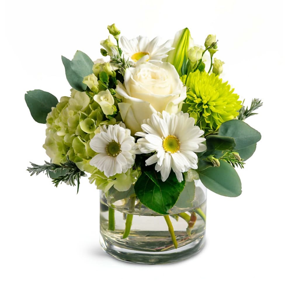 Leprechaun's Charm –  Your Beautiful Flowers, Scranton PA