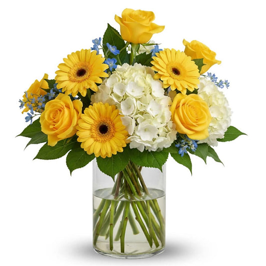 Little Ray of Sunshine –  Your Beautiful Flowers, Scranton PA