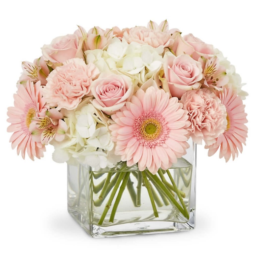 Cuddle Bug –  Your Beautiful Flowers, Scranton PA