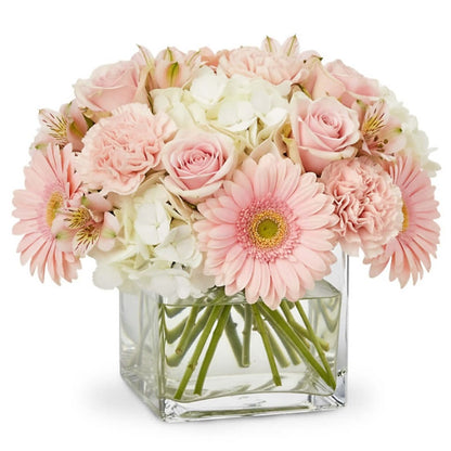 Cuddle Bug –  Your Beautiful Flowers, Scranton PA