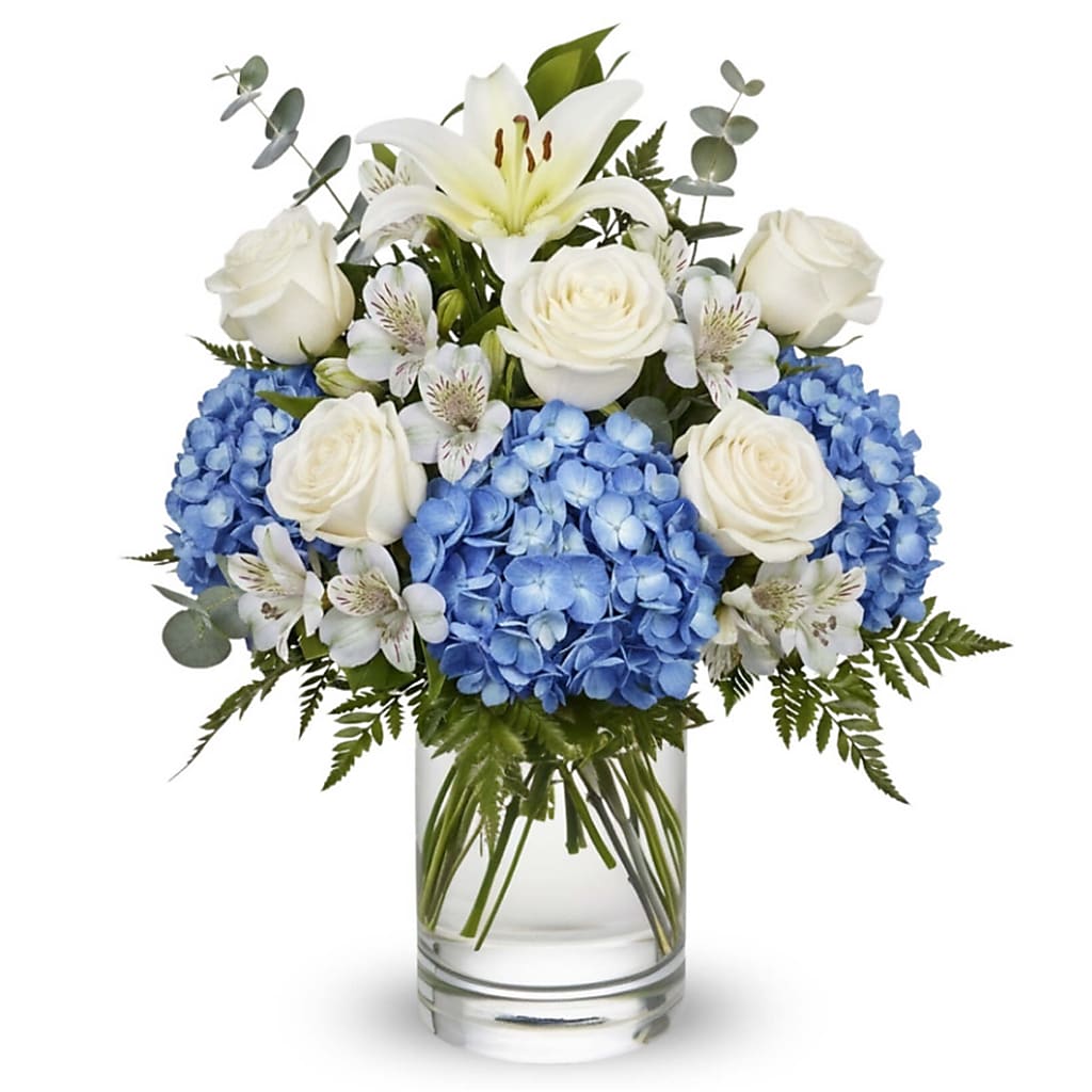Heavenly Blue Blessing –  Your Beautiful Flowers, Scranton PA