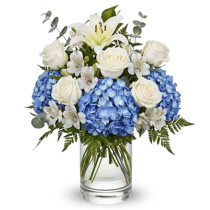 Heavenly Blue Blessing –  Your Beautiful Flowers, Scranton PA