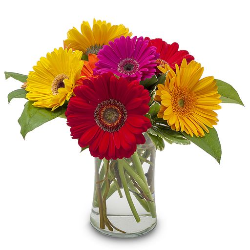 Fruity –  Your Beautiful Flowers, Scranton PA