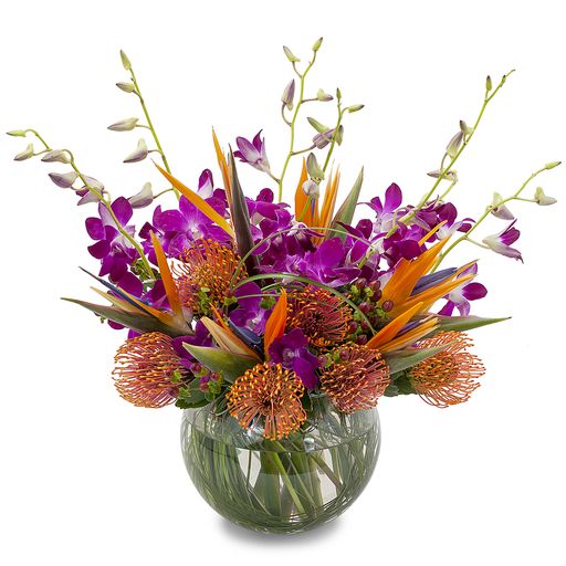 Sangria –  Your Beautiful Flowers, Scranton PA