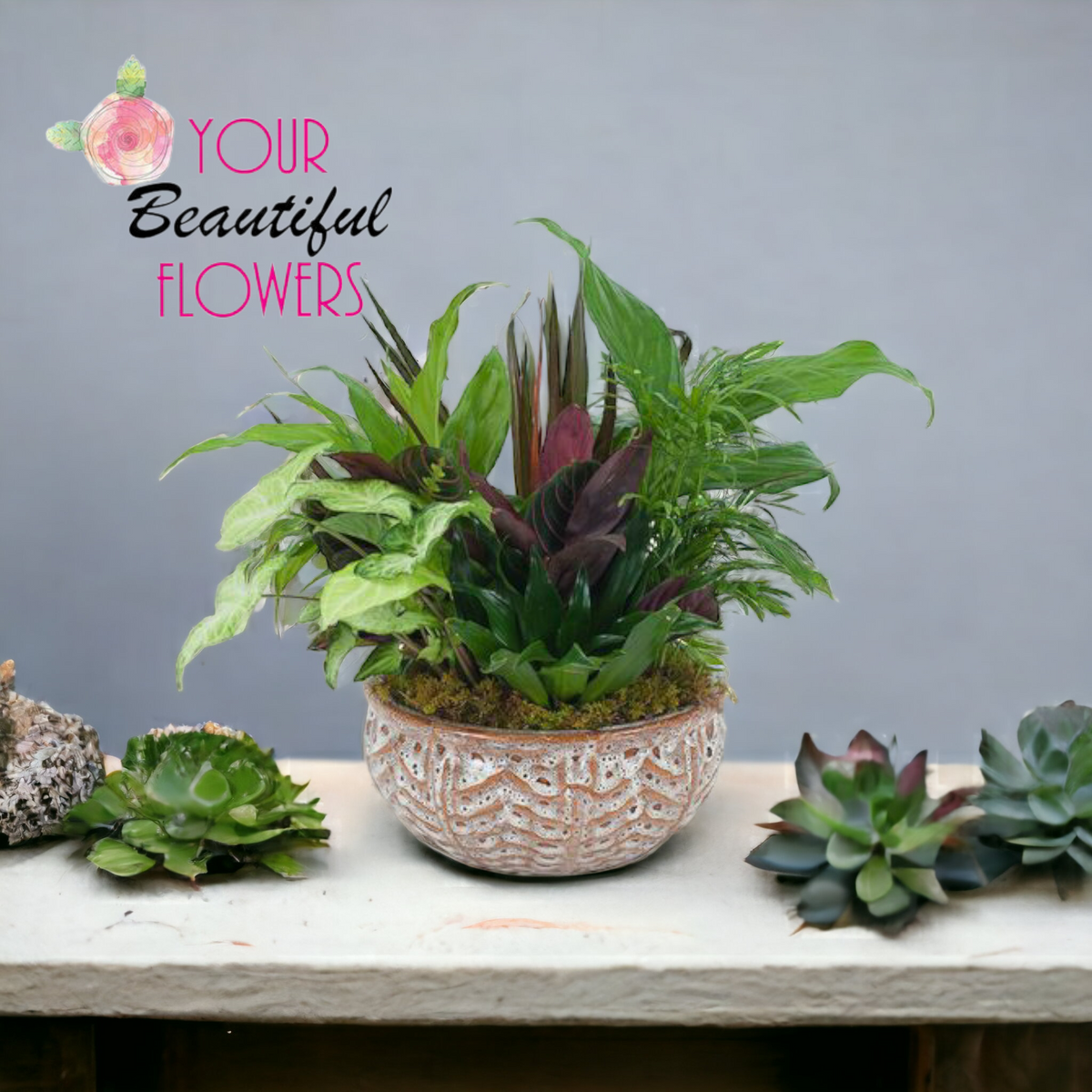 Ceramic Dish Garden –  Your Beautiful Flowers, Scranton PA