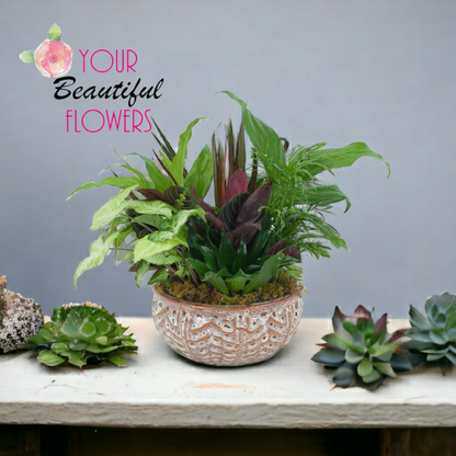 Ceramic Dish Garden –  Your Beautiful Flowers, Scranton PA