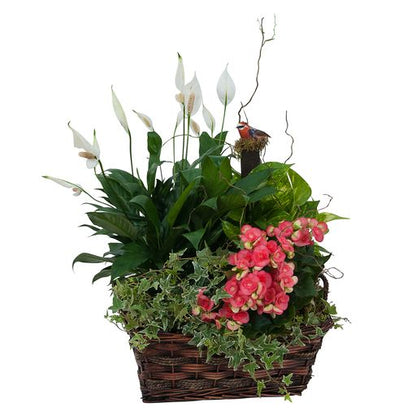 Living Blooming Garden Basket