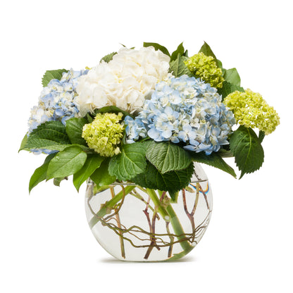 Mighty Hydrangea –  Your Beautiful Flowers, Scranton PA