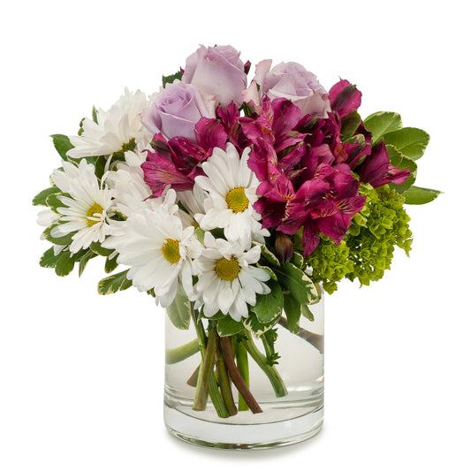 Raspberry –  Your Beautiful Flowers, Scranton PA